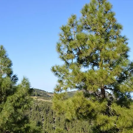 Mirador La Casa Redonda * El Majuelo